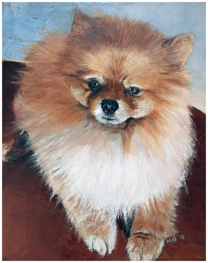 Benji - 2019 40x50cm  (Olieverf  op canvas)