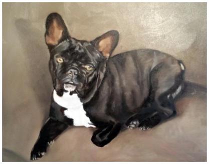 Franse Bulldog - 2016 40x60cm  (Olieverf op canvas