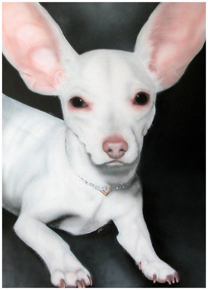 Chihuahua - 2004 100x120cm  (Airbrush en olie op canvas)