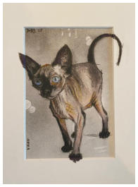 Anna, houtskool en pastel op papier, A5, 2025