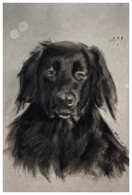 Babette, houtskool op papier, 40x50cm, 2025