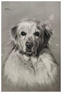 Baloe, houtskool op papier, 40x50 cm, 2025