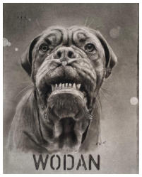 Wodan, Houtskool op papier, A3 2025