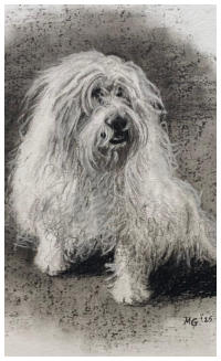 ZT, houtskool op papier, A4, 2025