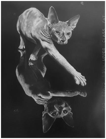 Upper-class cat, 2025, A0