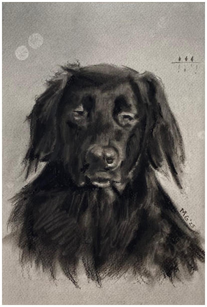 Babette, houtskool op papier, 40x50cm, 2025