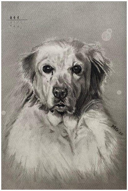 Baloe, houtskool op papier, 40x50 cm, 2025