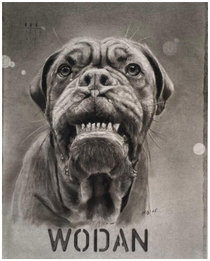 Wodan, Houtskool op papier, A3 2025