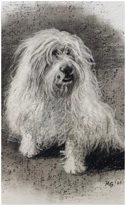 ZT, houtskool op papier, A4, 2025