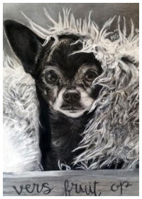 Wolf in schaapskleren - 2020 30x40  (houtskool)