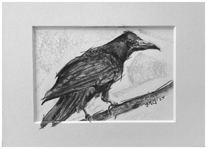 the Birds 2, 2024, 20x15cm 