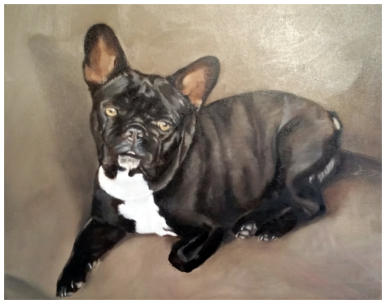 Franse Bulldog - 2016 (40x60cm  Olie op canvas