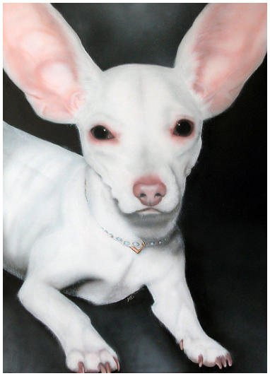 Chihuahua - 2004 (100x120cm / Airbrush en olie op canvas)